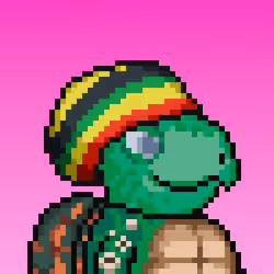 Turtle Fees #8101