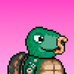 Turtle Fees #6877