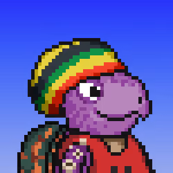Turtle Fees #2691