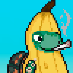 Turtle Fees #6302