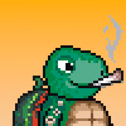Turtle Fees #9530