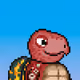 Turtle Fees #6910