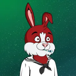 BUNNY GANG CLUB #1807