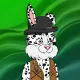BUNNY GANG CLUB #985