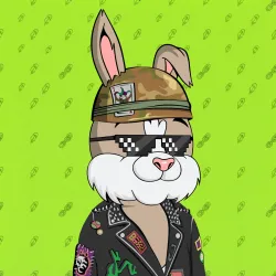 BUNNY GANG CLUB #1682