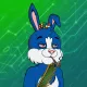BUNNY GANG CLUB #1367