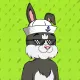 BUNNY GANG CLUB #19