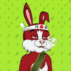 BUNNY GANG CLUB #493