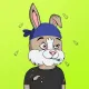 BUNNY GANG CLUB #934