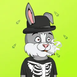 BUNNY GANG CLUB #1616