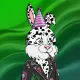 BUNNY GANG CLUB #1385