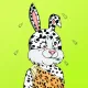 BUNNY GANG CLUB #1369
