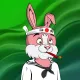 BUNNY GANG CLUB #946