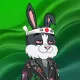 BUNNY GANG CLUB #888