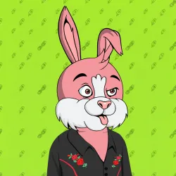 BUNNY GANG CLUB #739