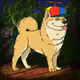CashDogesNFT