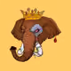 Elephant Jaro