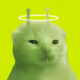 161