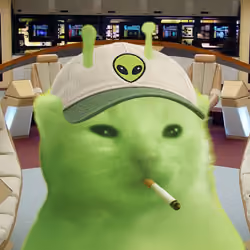 585