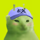 790