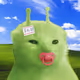 491