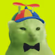 254