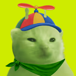 404