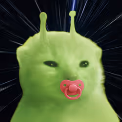 256