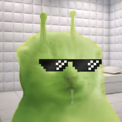 582