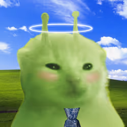 294