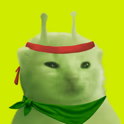 244