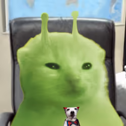 Item Media