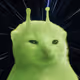 230