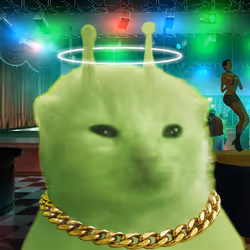 578