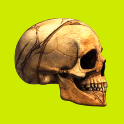 GraveX #2428