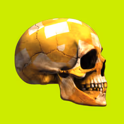 Item Media