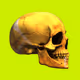 GraveX #1554