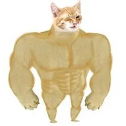 BUFFCAT