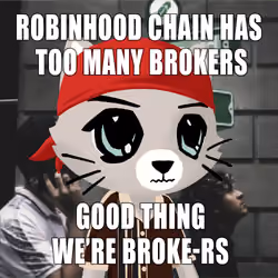 BrokeCatss #6876