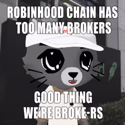 BrokeCatss #975