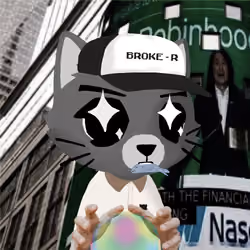 BrokeCatss #9695