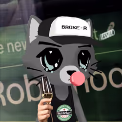 BrokeCatss #276