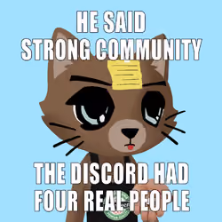 BrokeCatss #377