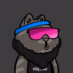 MEOWVERSE #800