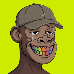 Hood Simian Cipher #530