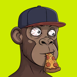 Hood Simian Cipher #475