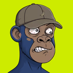 Hood Simian Cipher #467