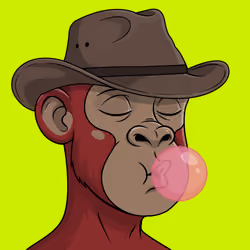 Hood Simian Cipher #330