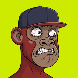 Hood Simian Cipher #329