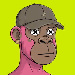 Hood Simian Cipher #306